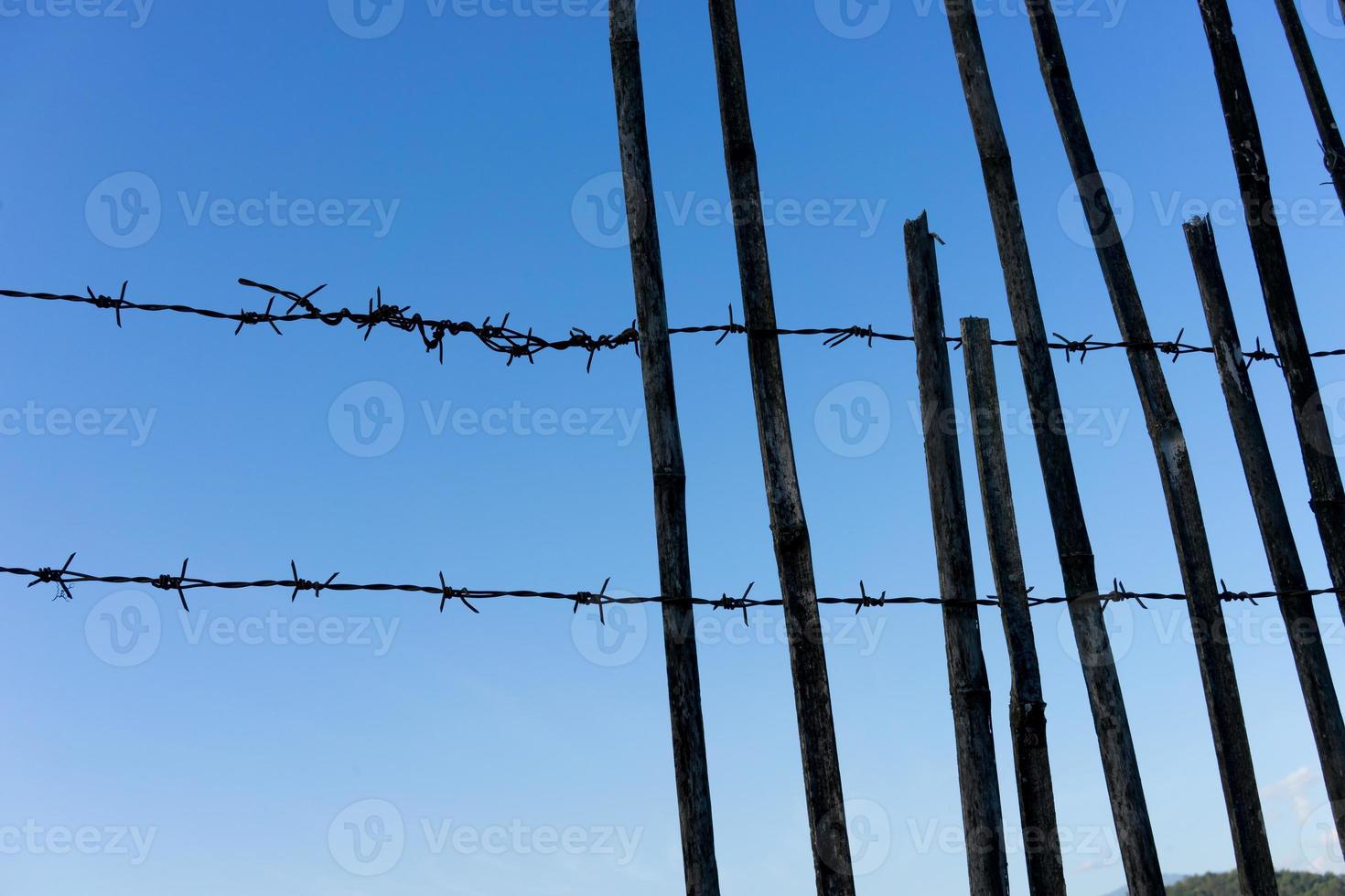 barbed wire blue sky photo