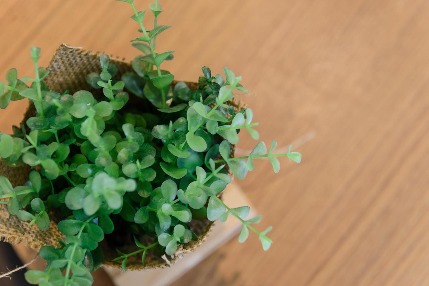 pequeños árboles artificiales o césped artificial en un jarrón sobre una mesa con espacio para copiar foto