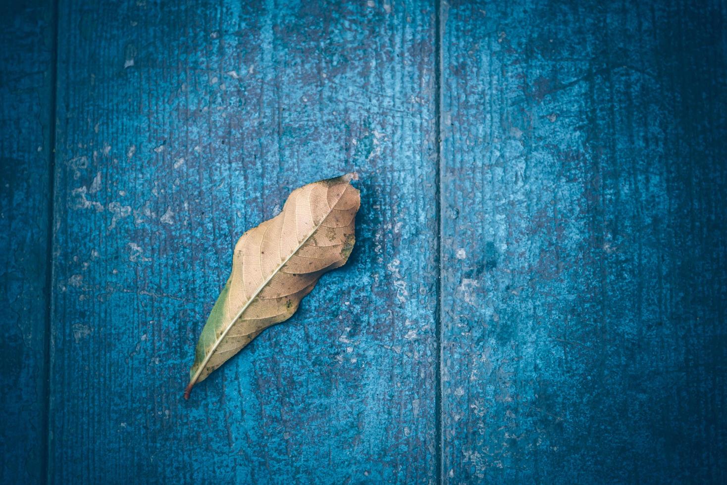 Top view of Autumn Leave over rustic wooden table background with Copy space photo