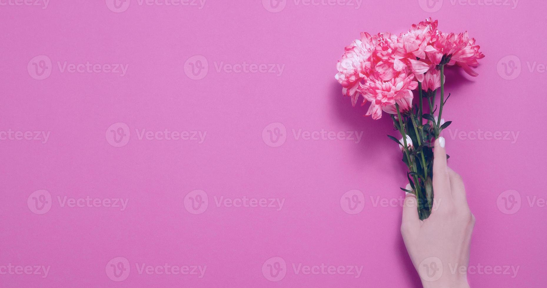 Summer flowers composition with girl hand isolated on pink background. Mother and women day. Valentine holidays concept. Top view and copy space. Banner and mock up. Flower season photo