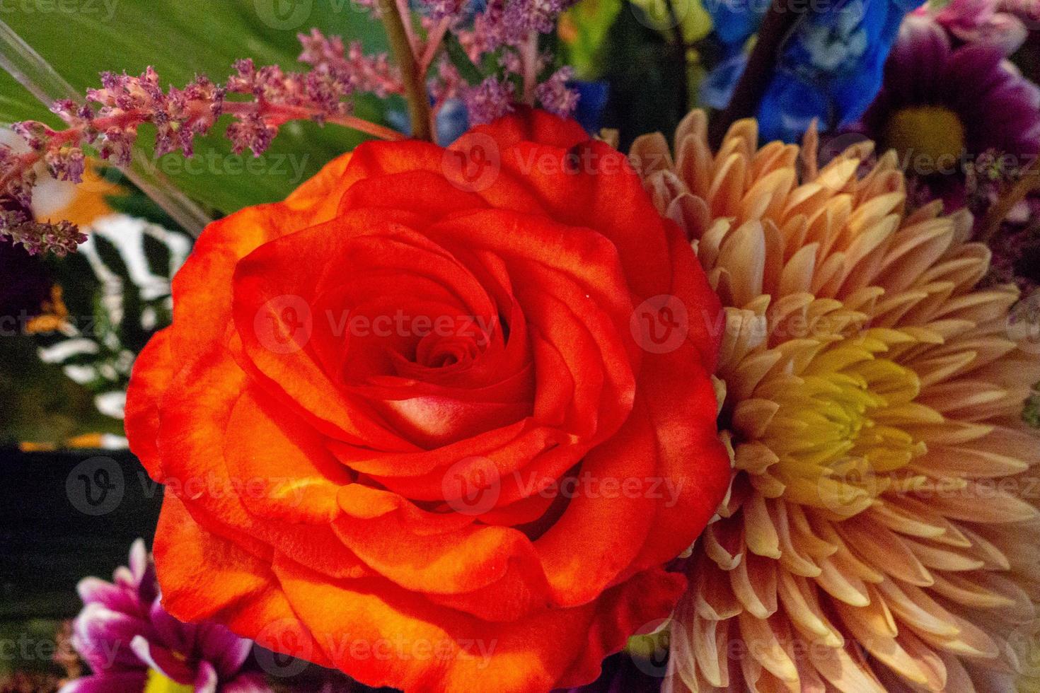 Assortment of bright flowers in an arrangement. photo