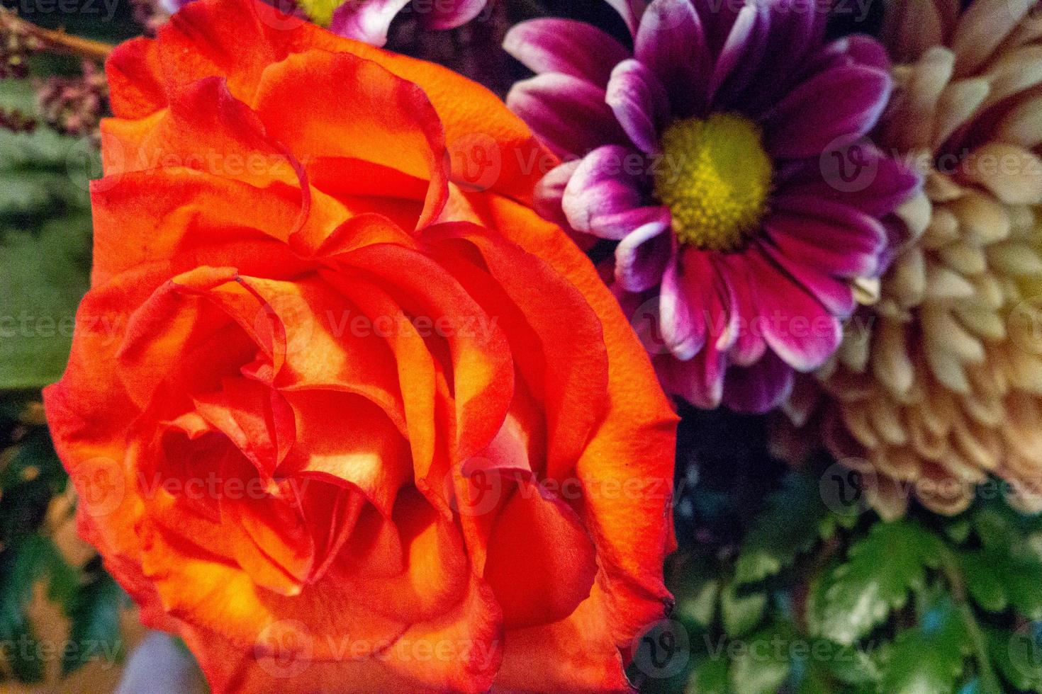 Assortment of bright flowers in an arrangement. photo