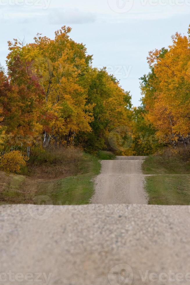 Back country road on the Canadian prairies in fall. photo