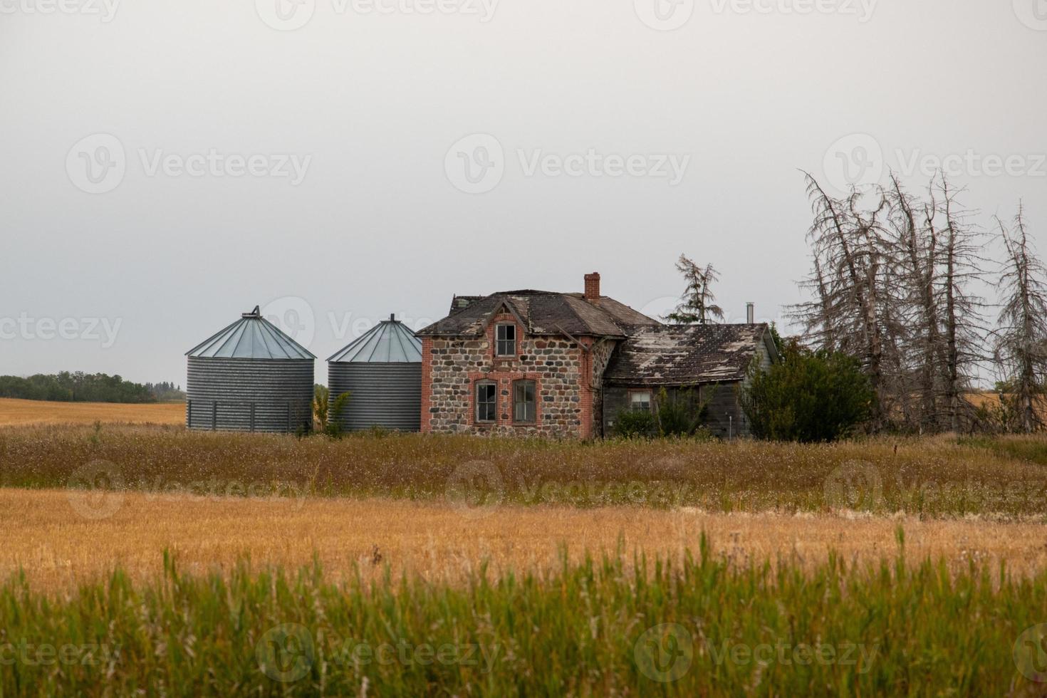 hacienda abandonada de principios de 1900 en las praderas canadienses foto