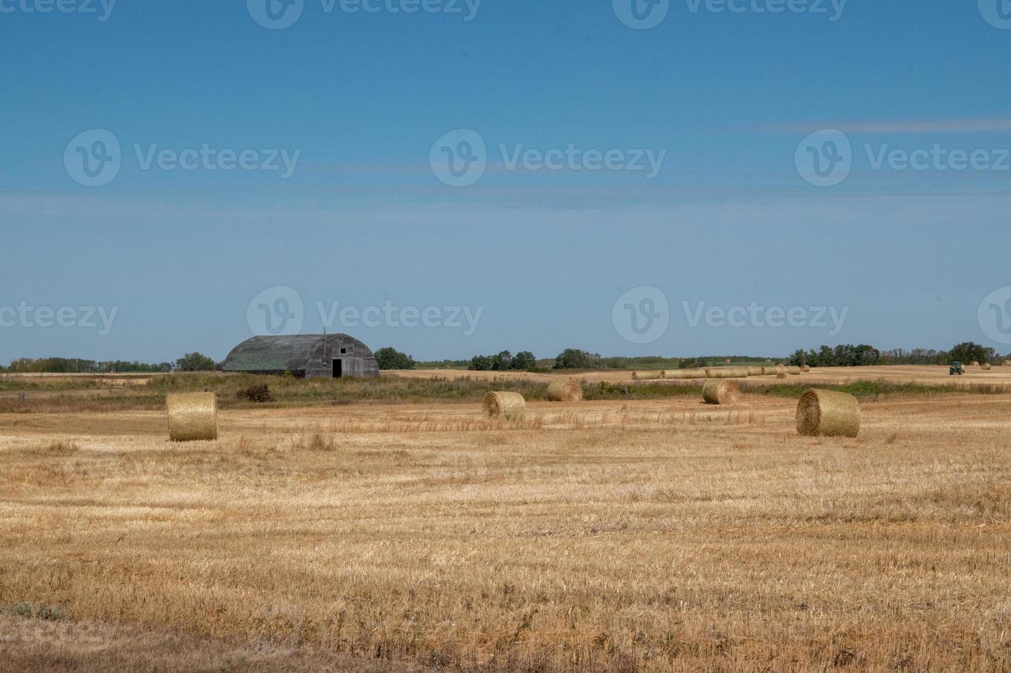 Abandoned barn in rural Saskatchewan, Canada photo