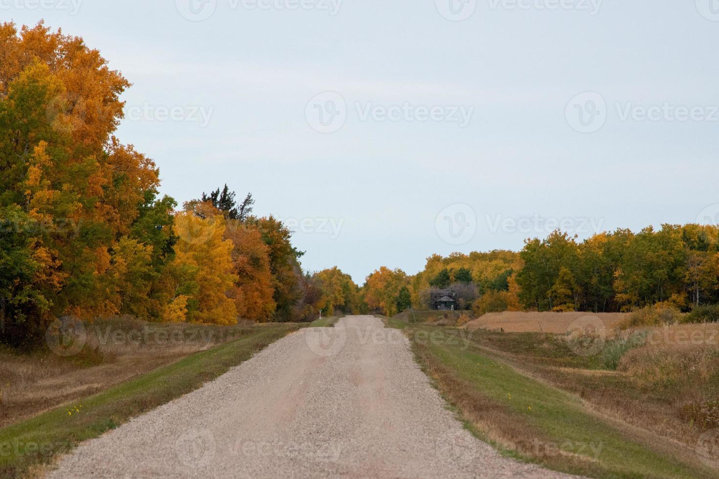 Back country road on the Canadian prairies in fall. photo