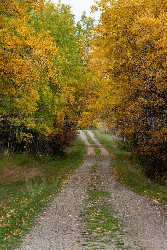 Back country road on the Canadian prairies in fall. photo