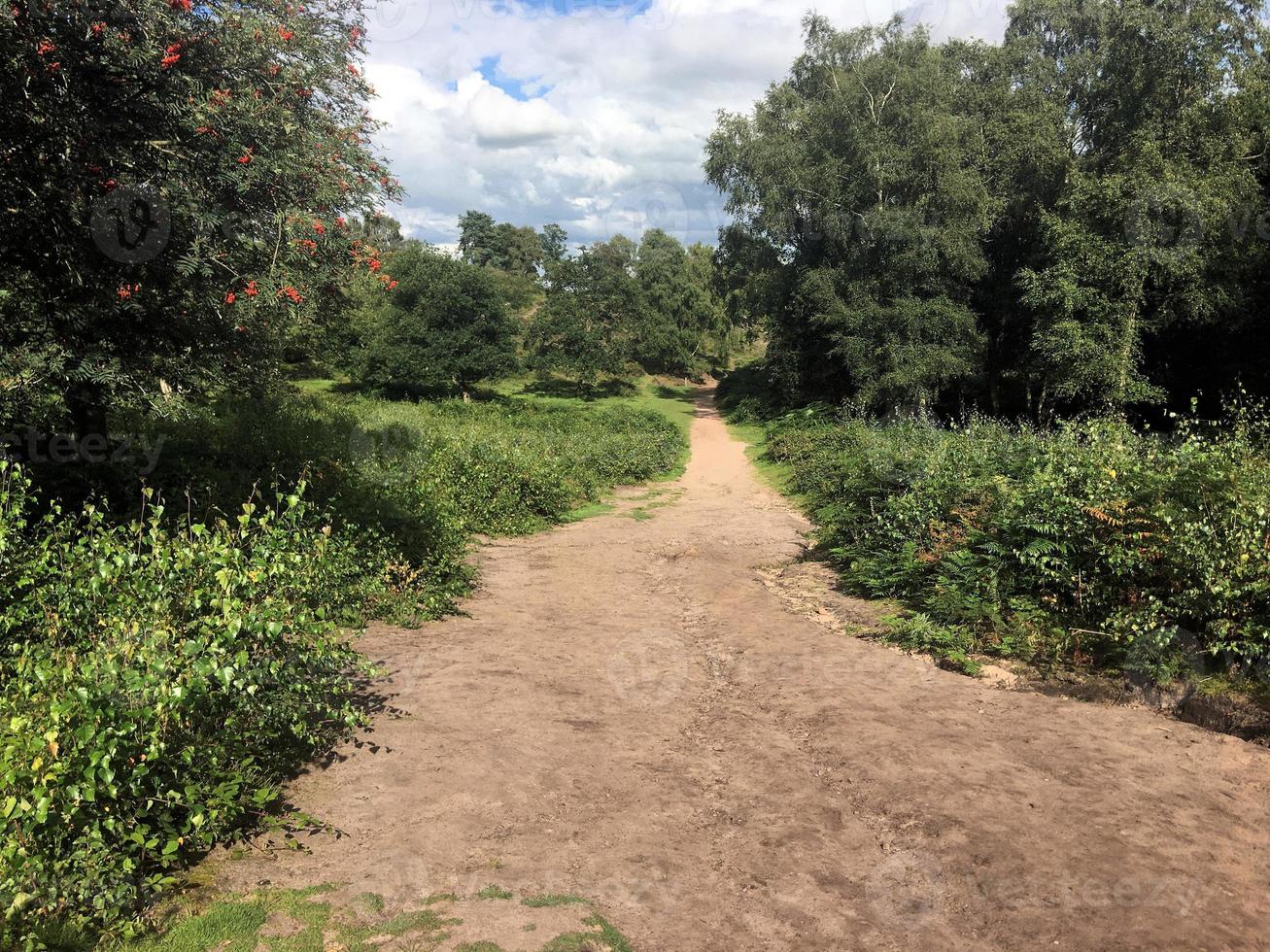 A view of Bickerton Hills in Cheshire photo