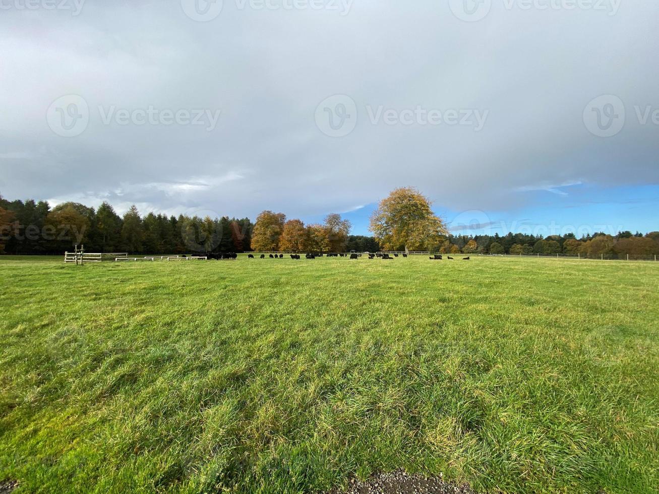 una vista de la campiña de cheshire cerca de knutsford en otoño foto