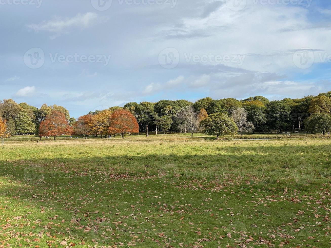 una vista de la campiña de cheshire cerca de knutsford en otoño foto