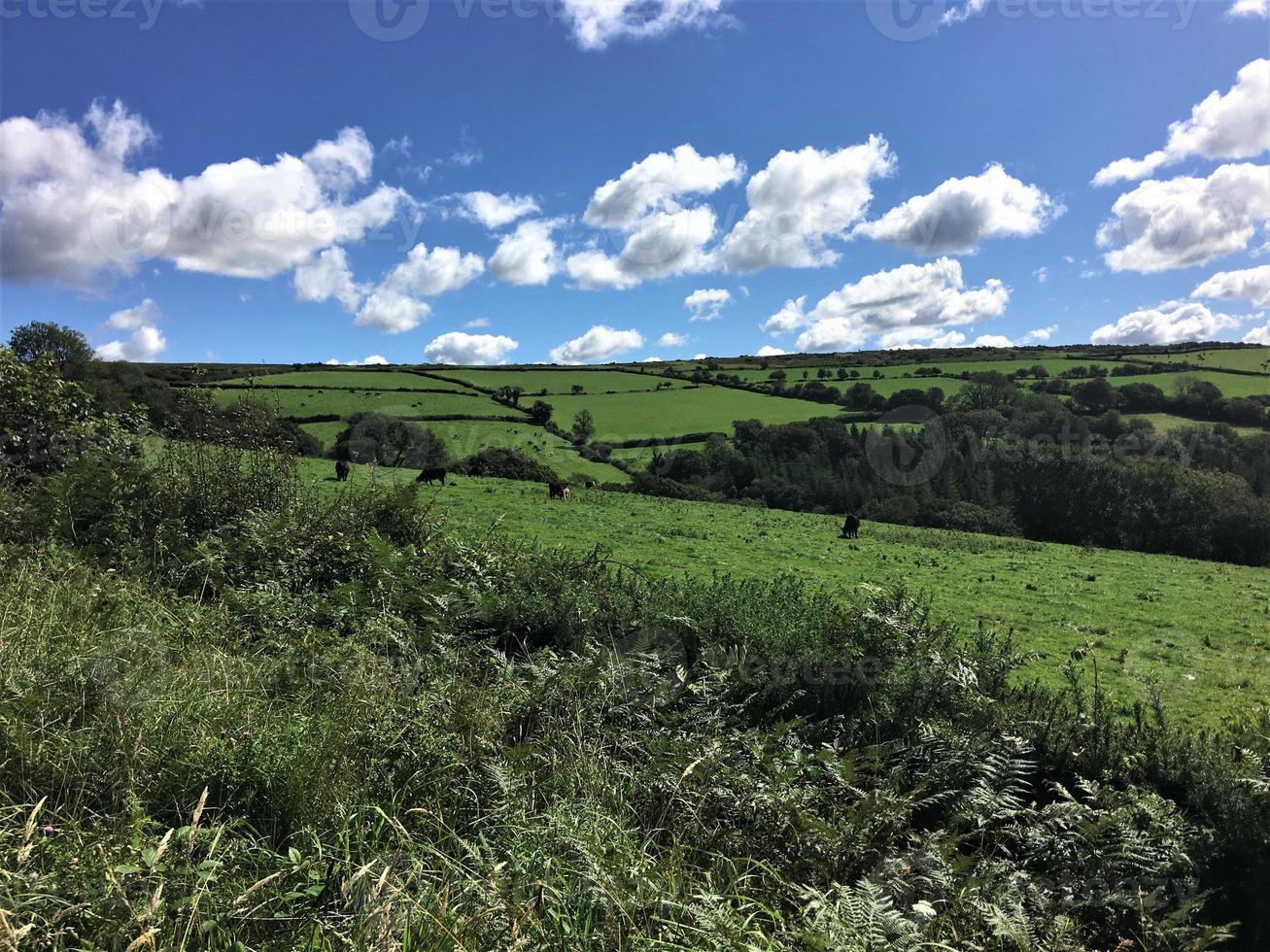 A view of Dartmoor National Park in Devon from the summit photo