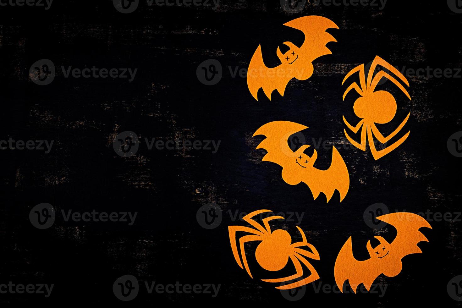 Halloween background with spider, bats. Halloween holiday background. photo