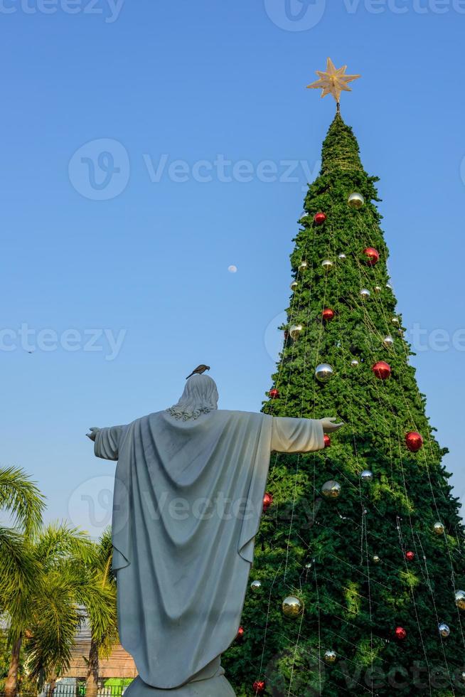 christmas tree blue sky background photo