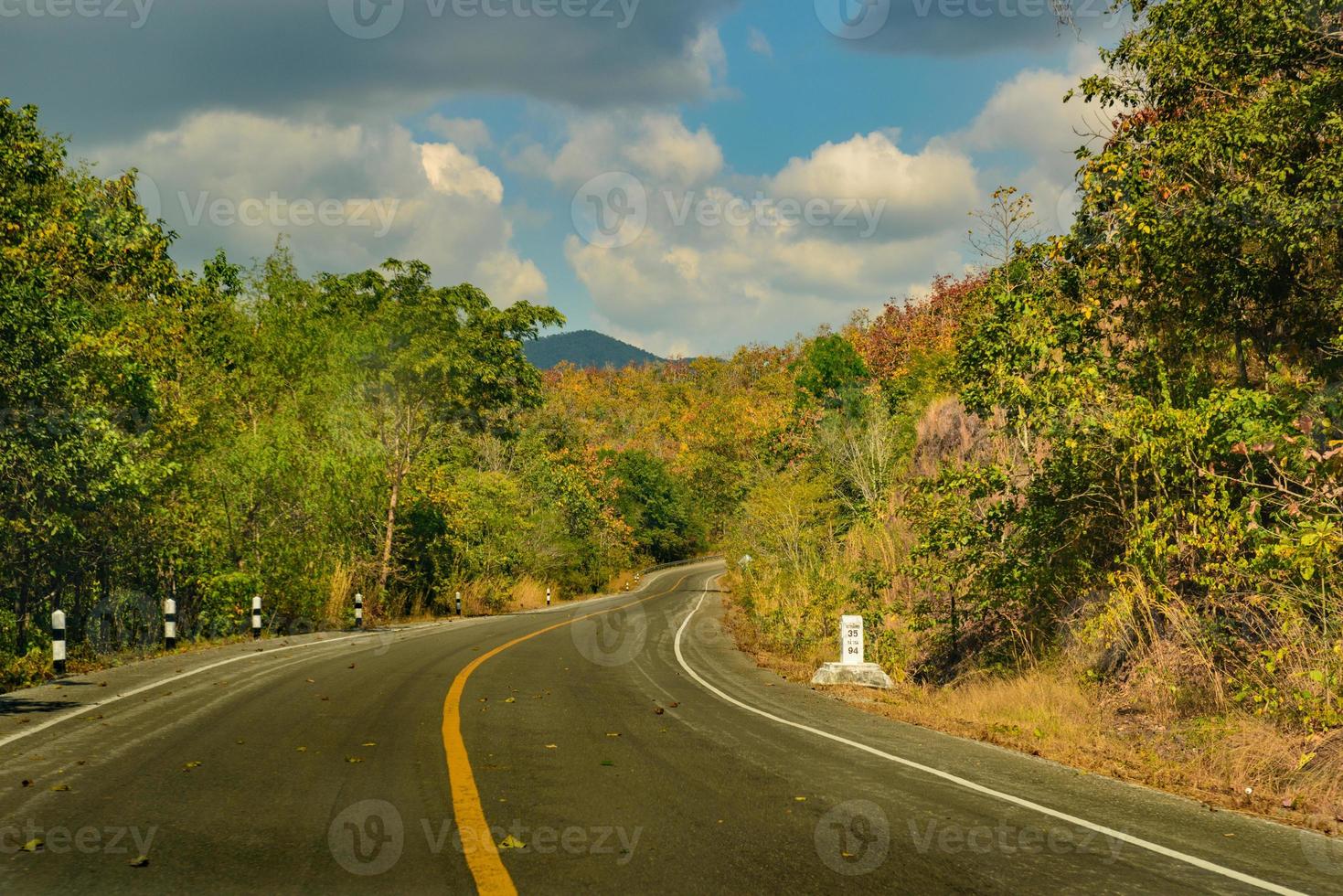 Road and forest color  on both sides photo