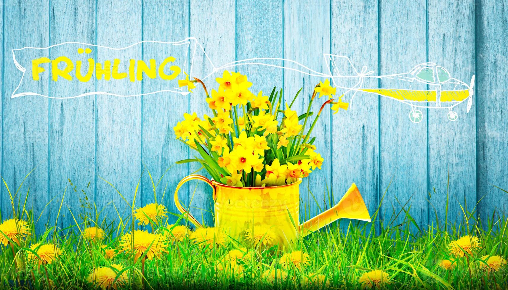 Colorful wild flower bouquet in a watering can. Concept of spring and gardening. photo