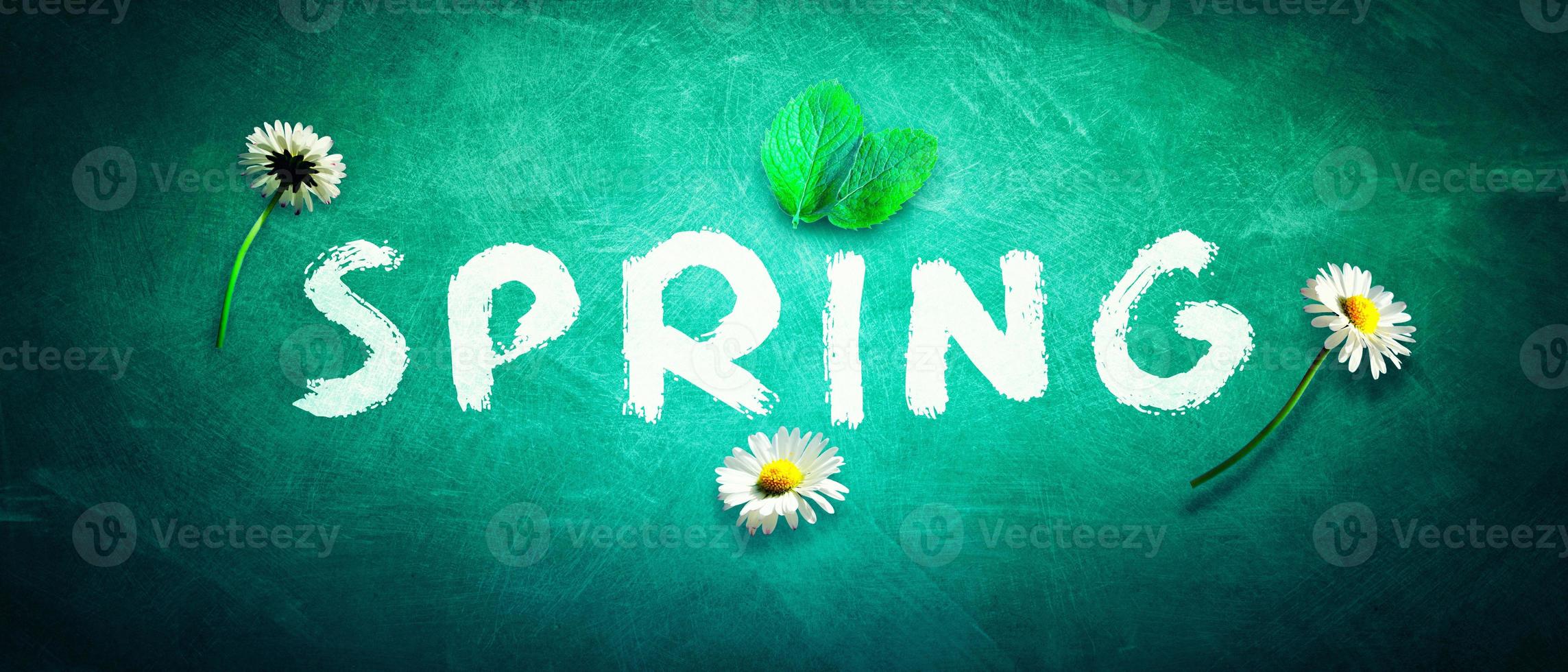 Funny spring word witten on chalkboad background. photo