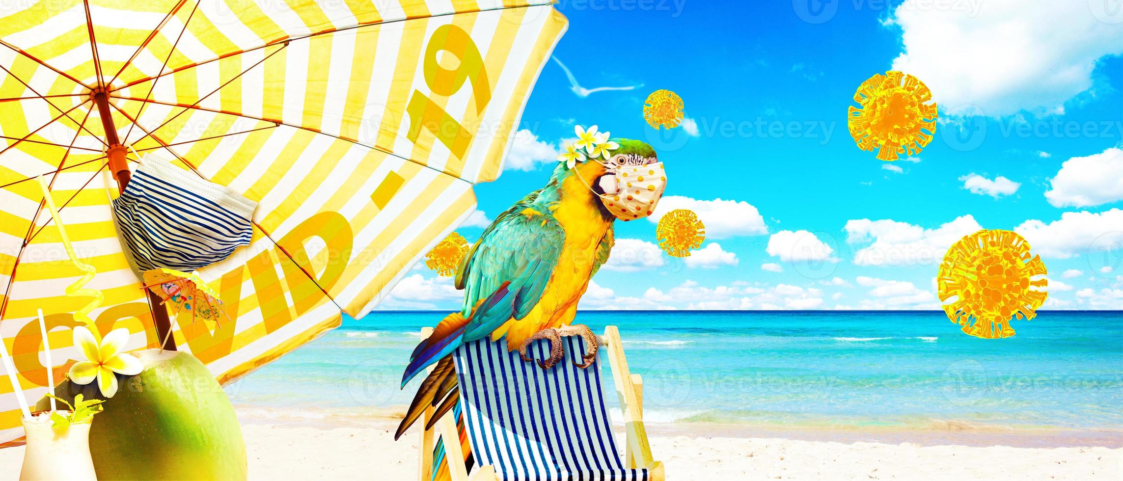 Macaw parrot with medical mask on vacation photo