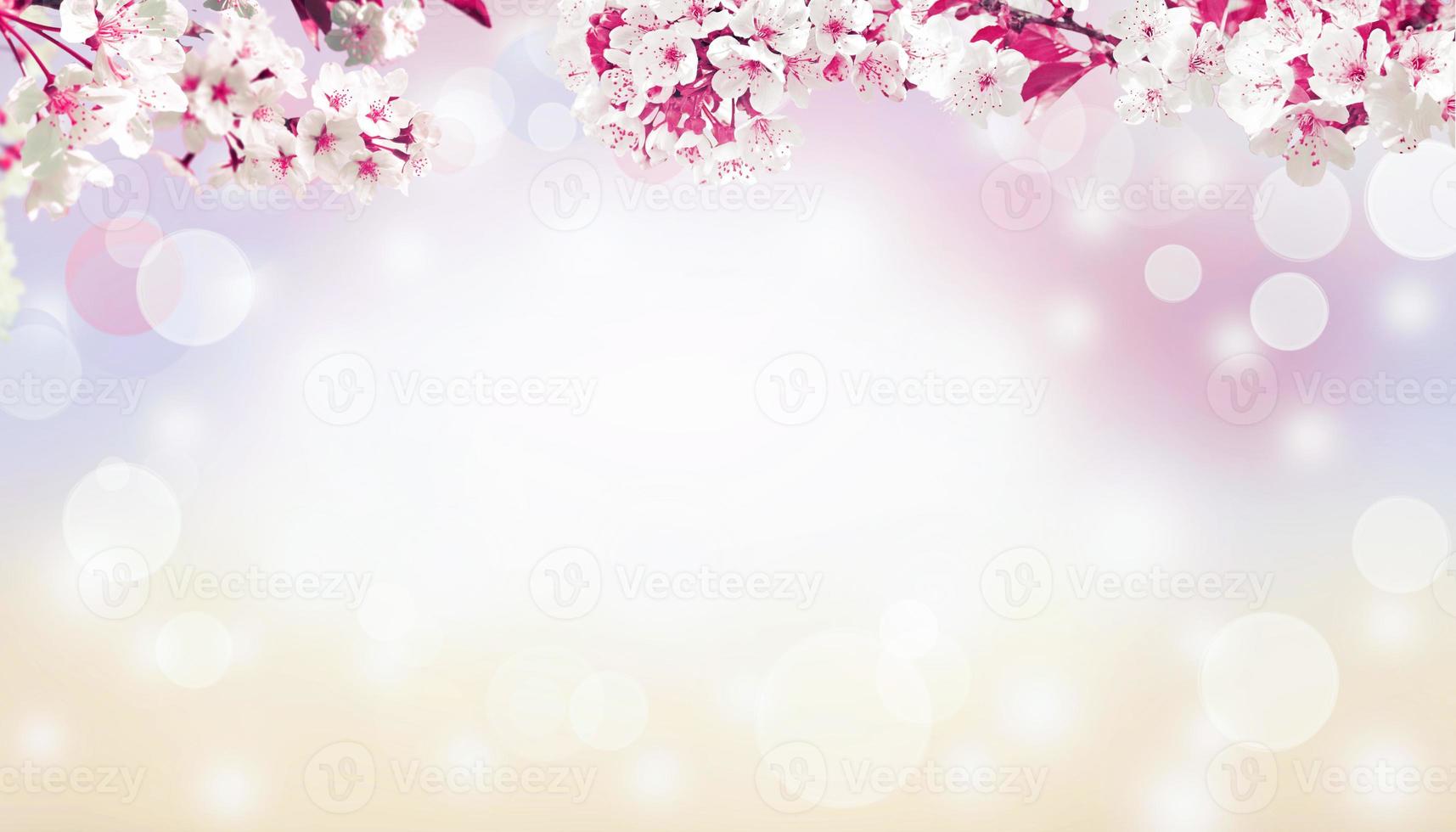 Beautiful nature view of spring flowering trees on blurred background. photo