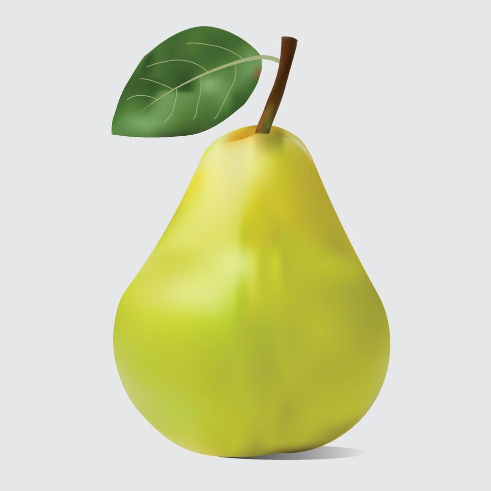 a fresh and delicious pear vector