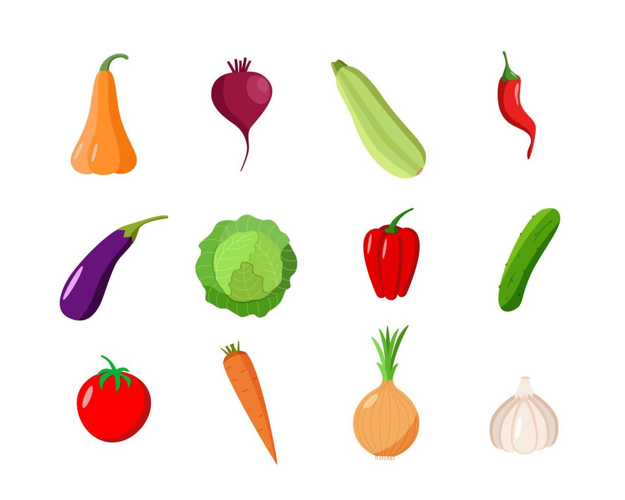 un conjunto de diferentes verduras. ilustración vectorial de la cosecha estacional de otoño vector