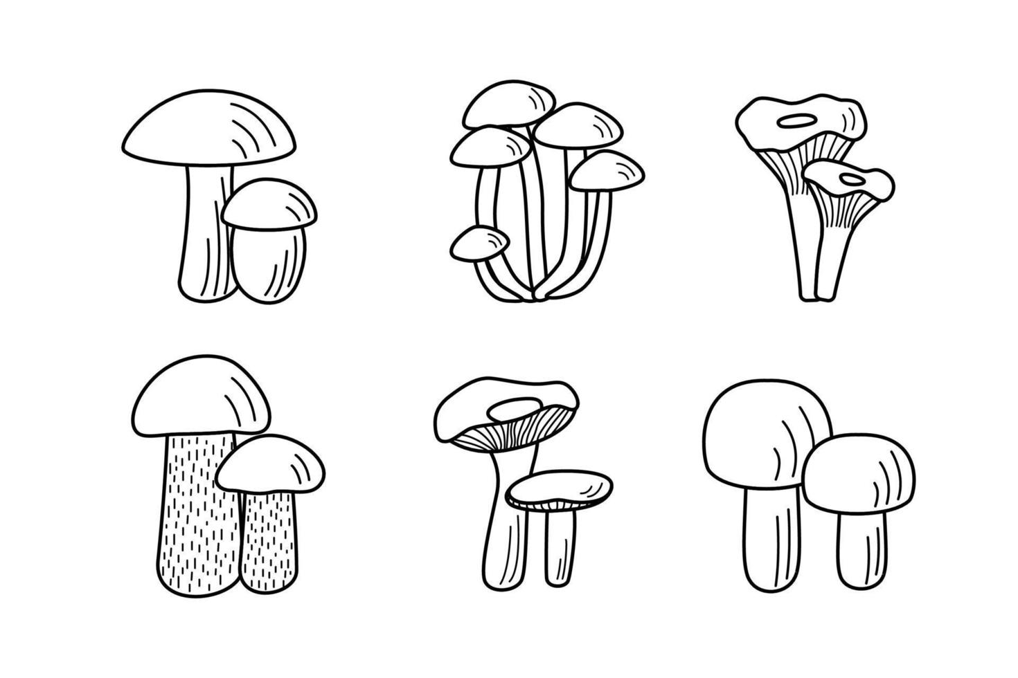 Set of mushroom icons vector. Illustration of boletus, chanterelles, honey mushrooms, champignons, aspen mushroom and russula vector