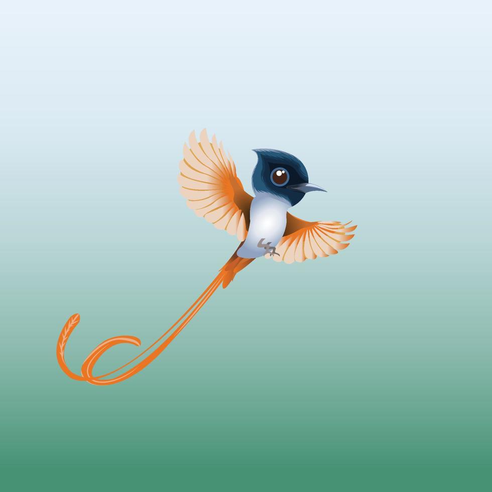 Asian paradise flycatcher bird illustration vector