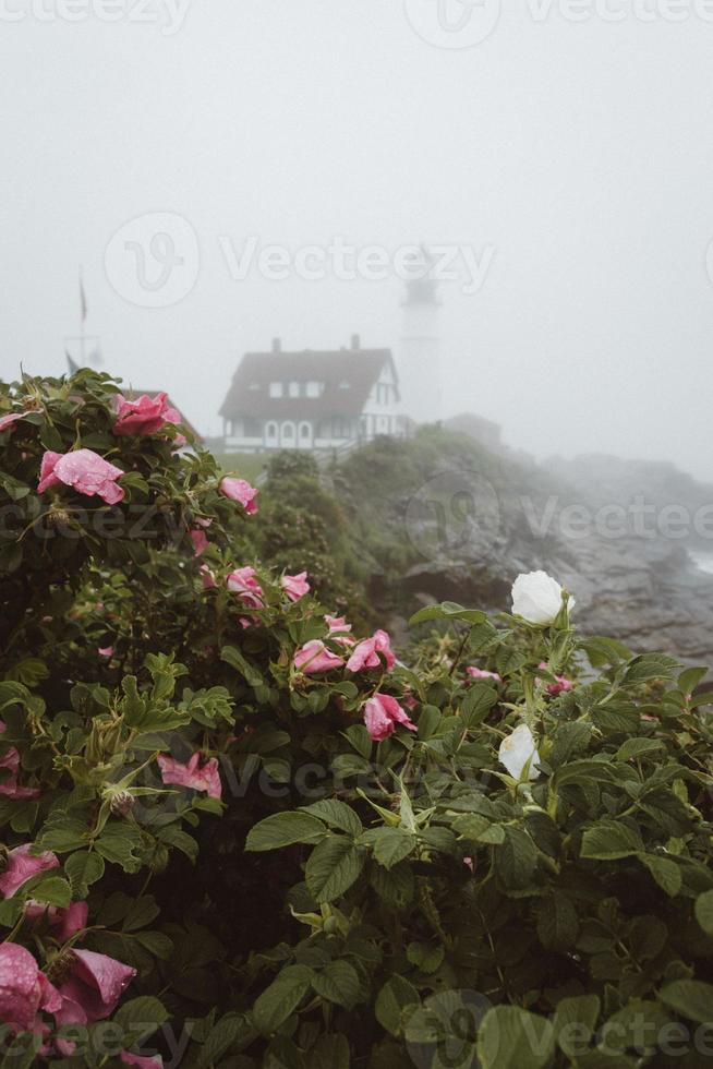 Flowers and a foggy lighthouse photo
