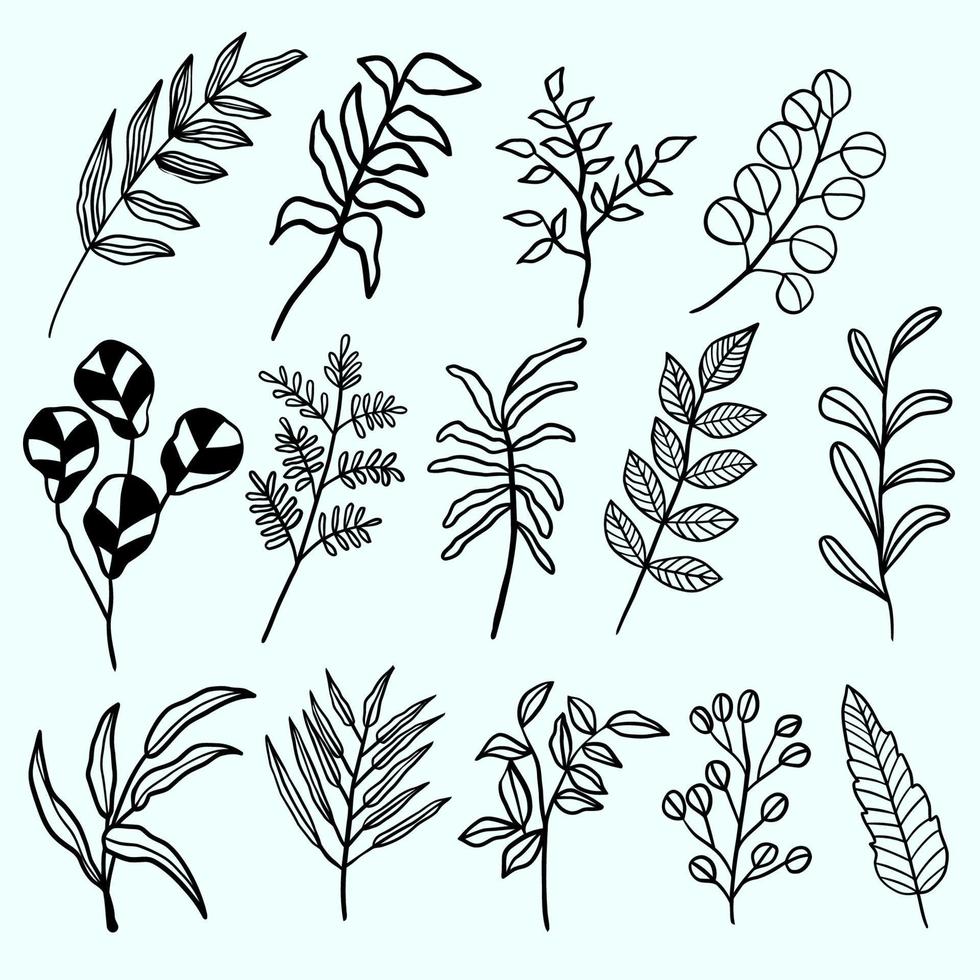 SET  OF LEAVES LINEART vector