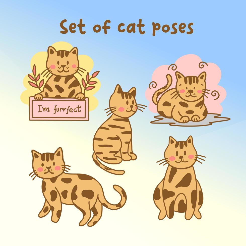 conjunto de poses de gato vector