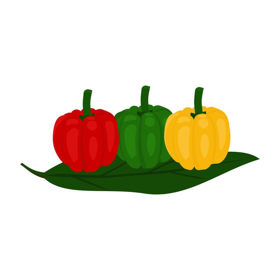 fresh red, green, yellow peppers vector