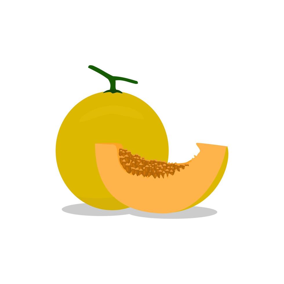 yellow fresh melon fruit vector