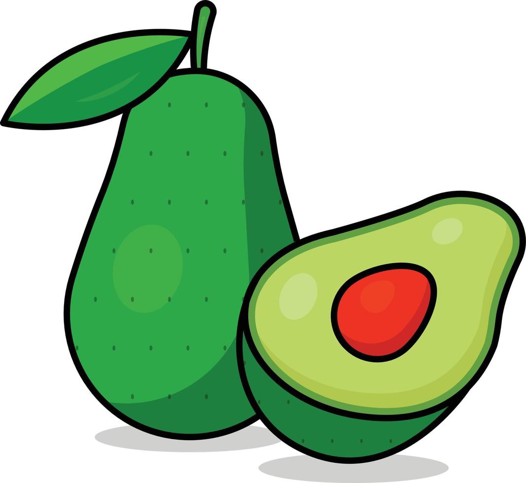 Realistic Vector Avocado