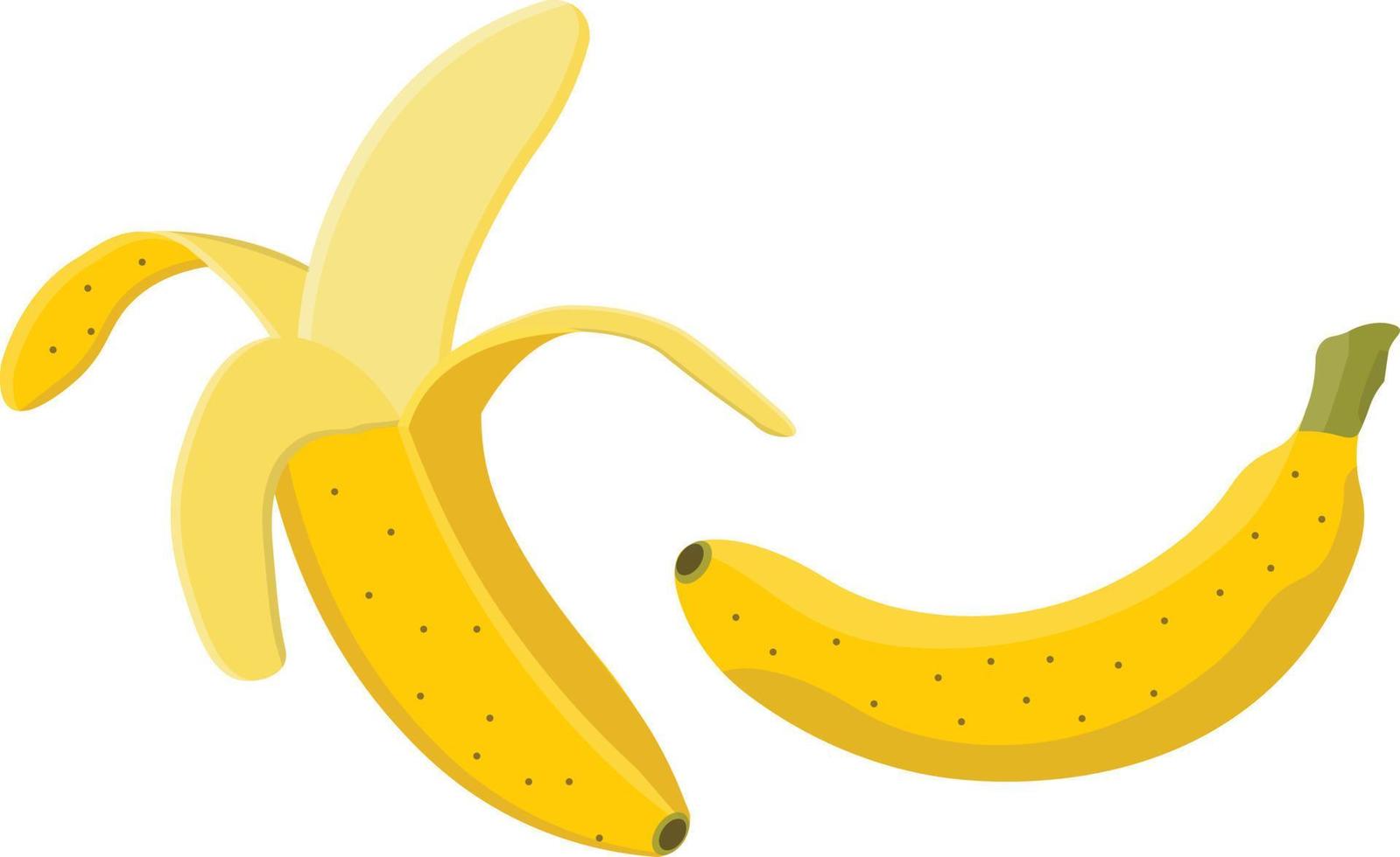 Vector Banana Illustration