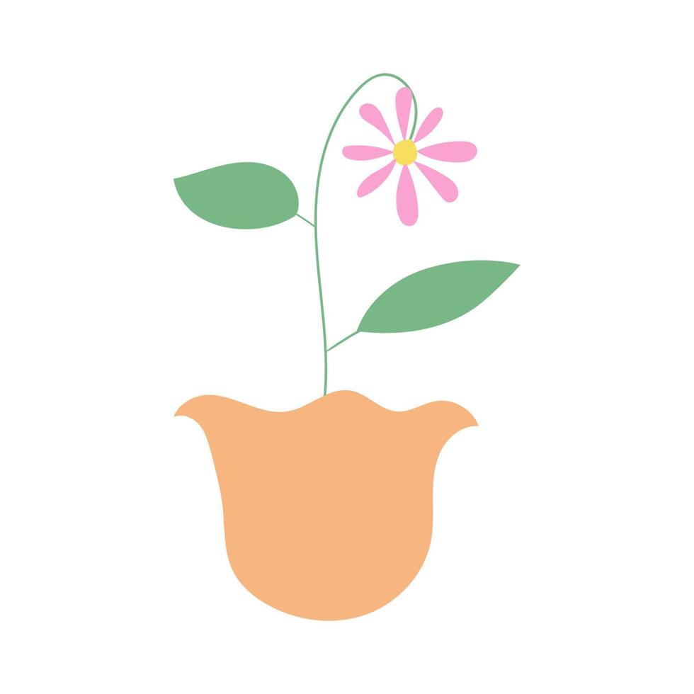 Illustration of house plant with flat style vector