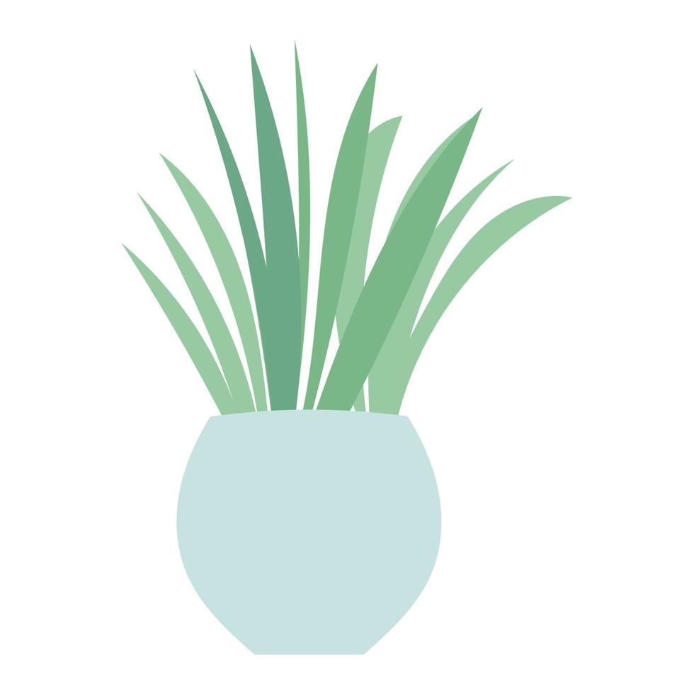 Illustration of house plant with flat style vector