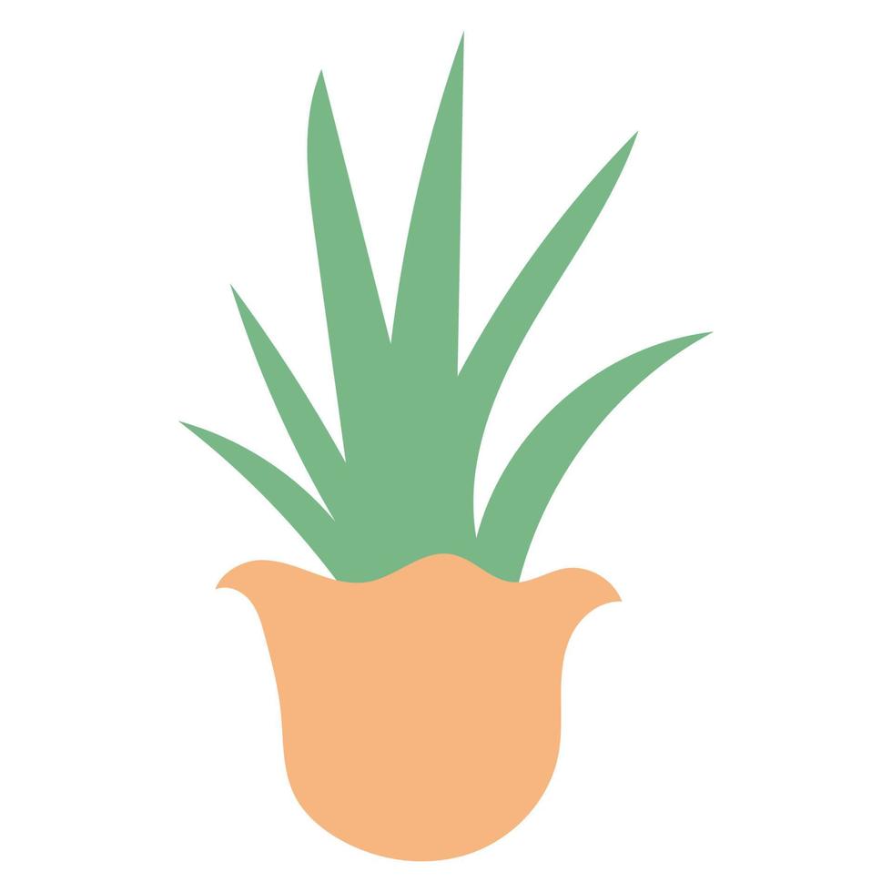 Illustration of house plant with flat style vector