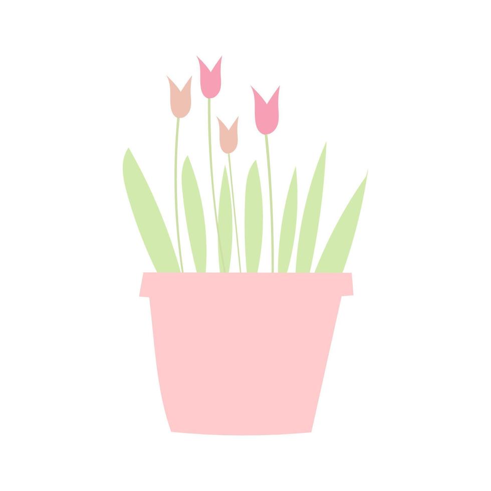 Illustration of house plant with flat style vector