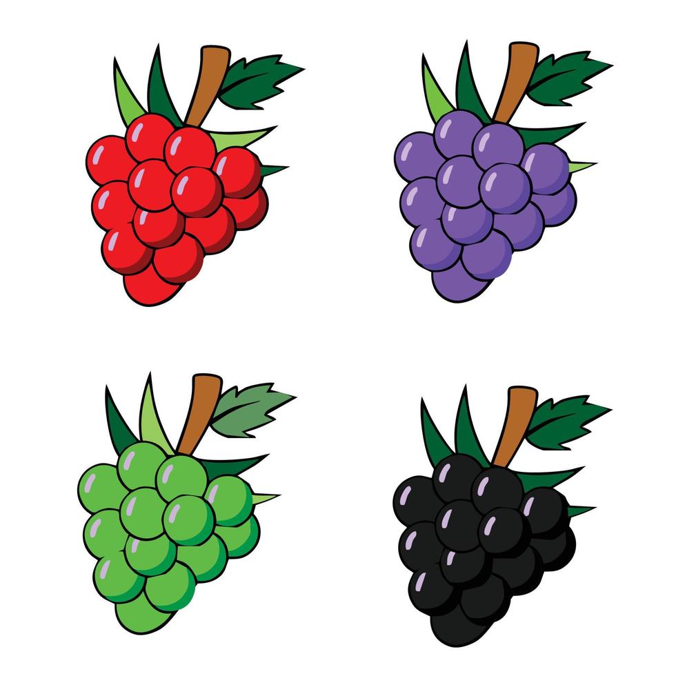 ilustración de uvas moradas: un racimo de uvas moradas con tallos y hojas aisladas en un fondo blanco vector