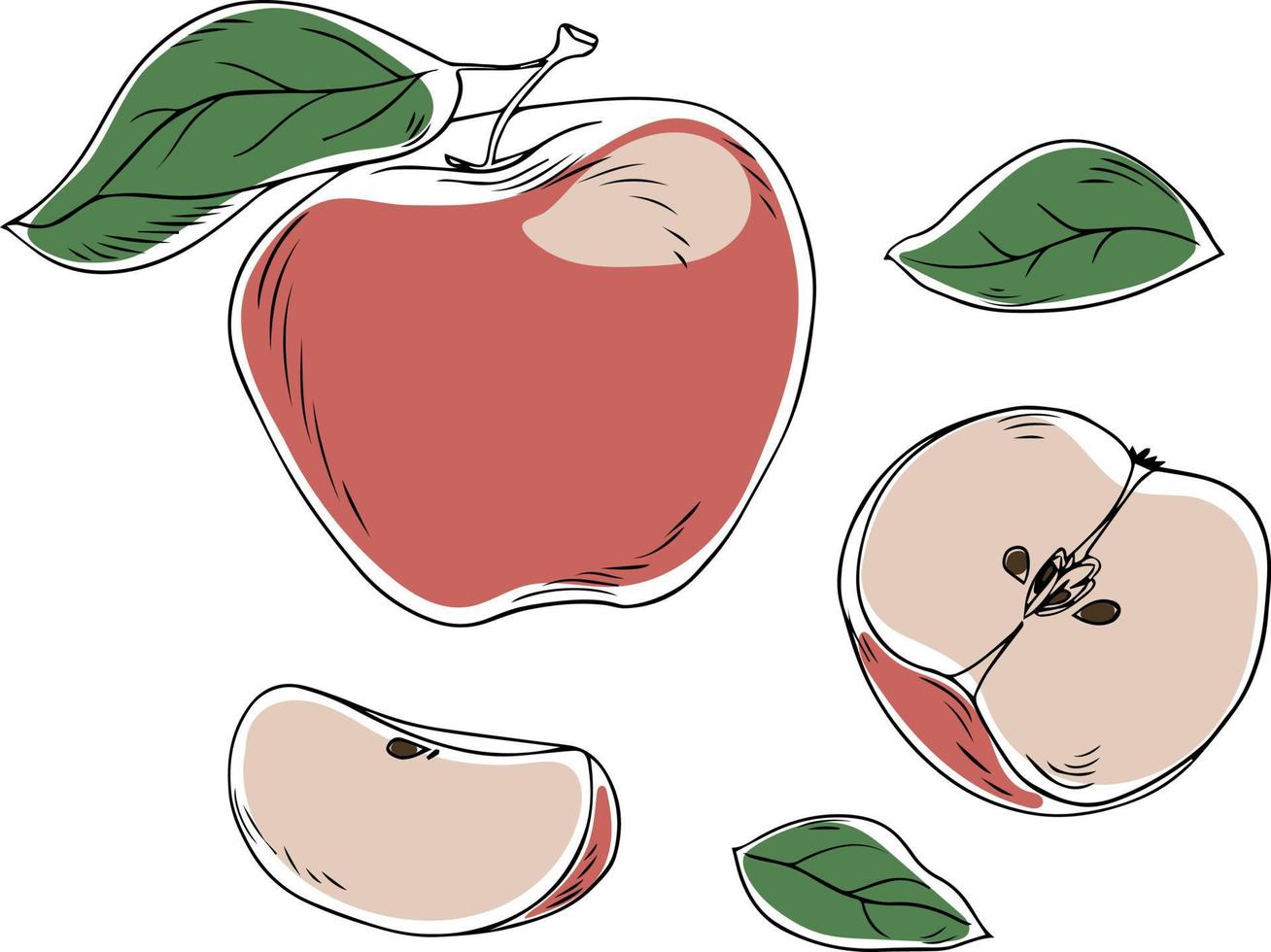 Vector apple in graphic style on a white background. A simple illustration in flat graphics for design.