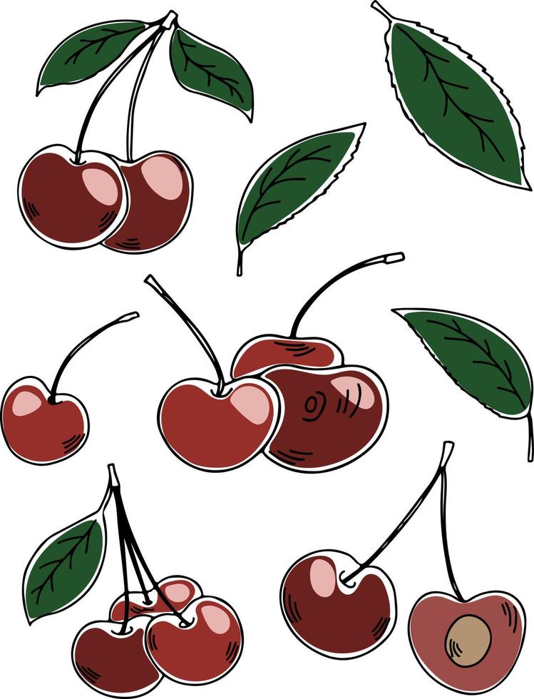 conjunto vectorial de cerezas coloridas dibujadas a mano aisladas sobre fondo blanco. ilustración vectorial vector