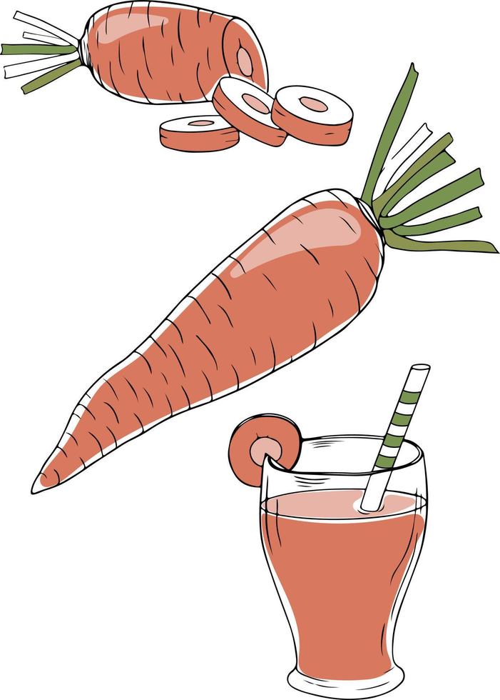 zanahorias coloridas y jugo de zanahoria en estilo garabato, aislado en fondo blanco. ilustración vectorial vector