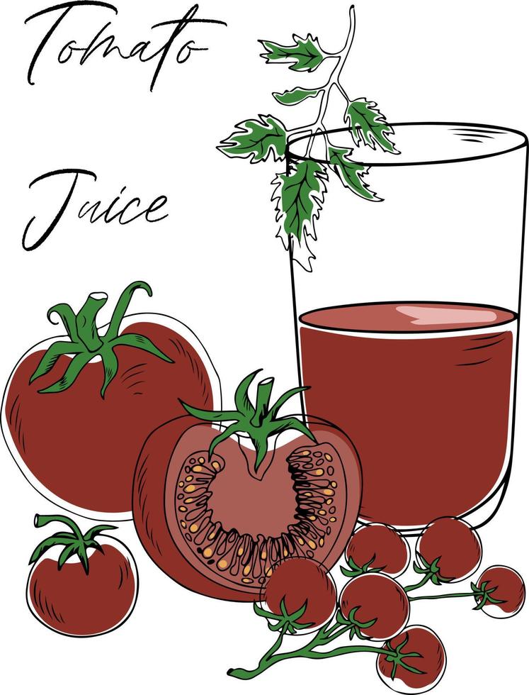Colorful doodle of the glass of tomato juice served with fresh tomatoes and greenery, isolated on white background. Vector illustration