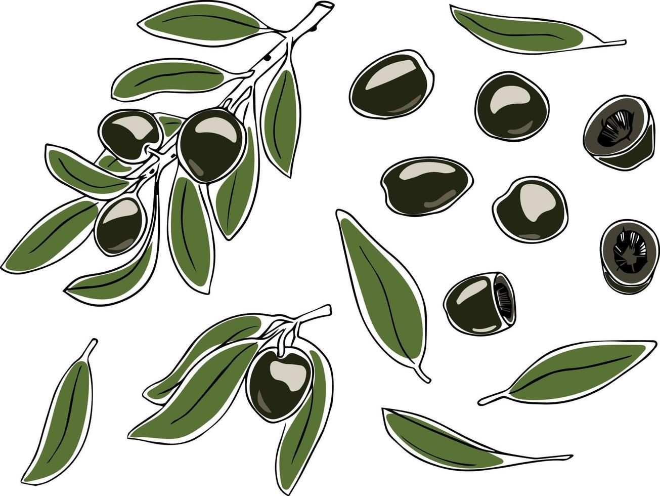 Vector set of olives on branches and leaves in doodle style on white background. Vector illustration