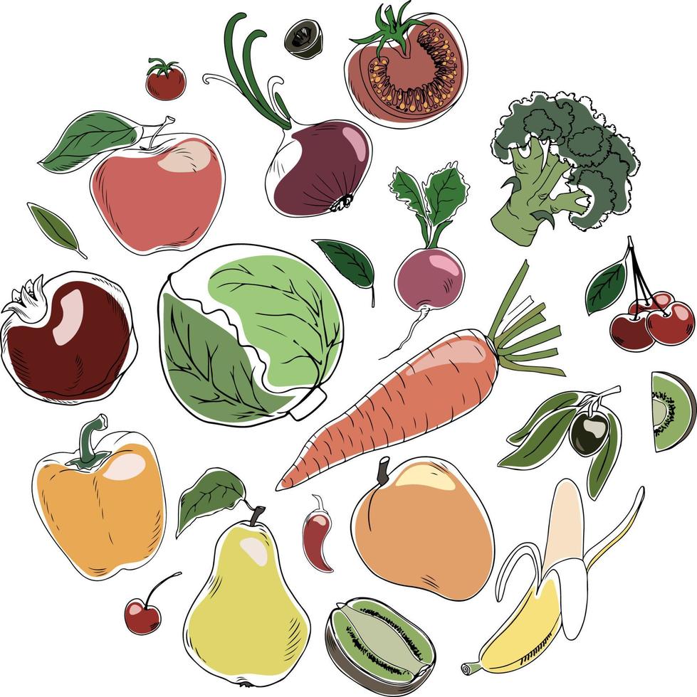 Set of doodle style colorful fruits and vegetables isolated on white background. Vector illustration