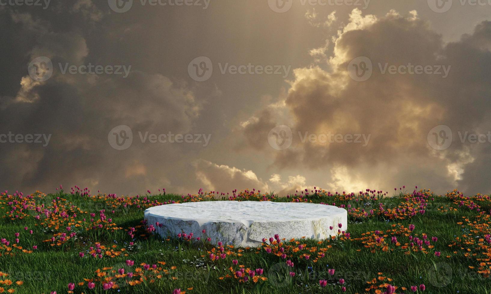 Natural stone podium on meadow grass field and cloudy sky background. Nature and weather concept. 3D illustration rendering photo