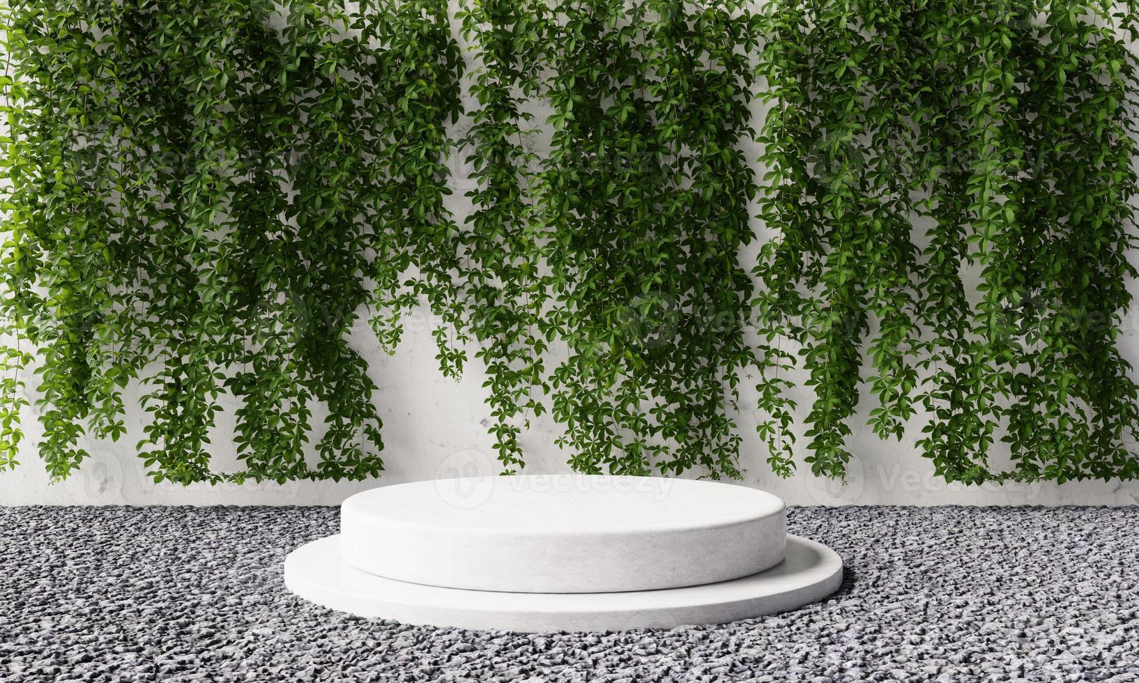Round cylinder product stone podium in backyard garden with vine Virginia creeper on white concrete wall background. Exterior nature and architecture concept. 3D illustration rendering photo