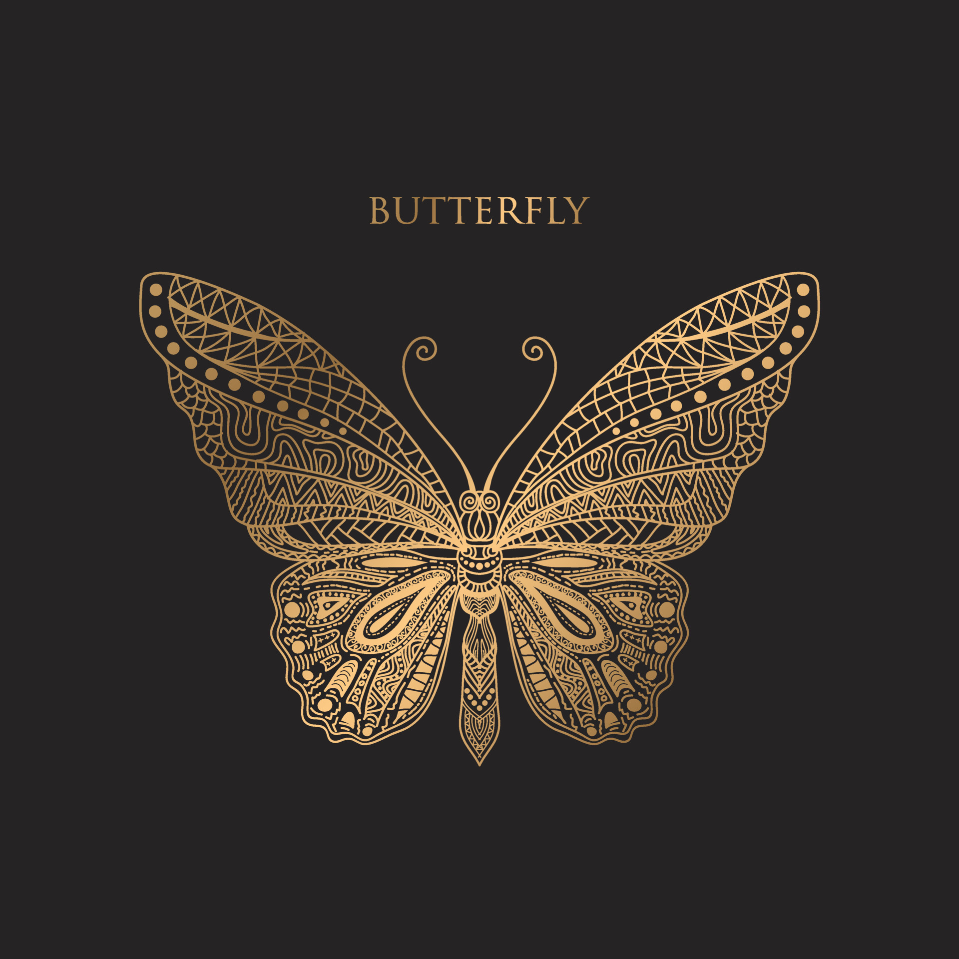 vector Beautifully Patterned Golden Butterfly Line Vector On Black