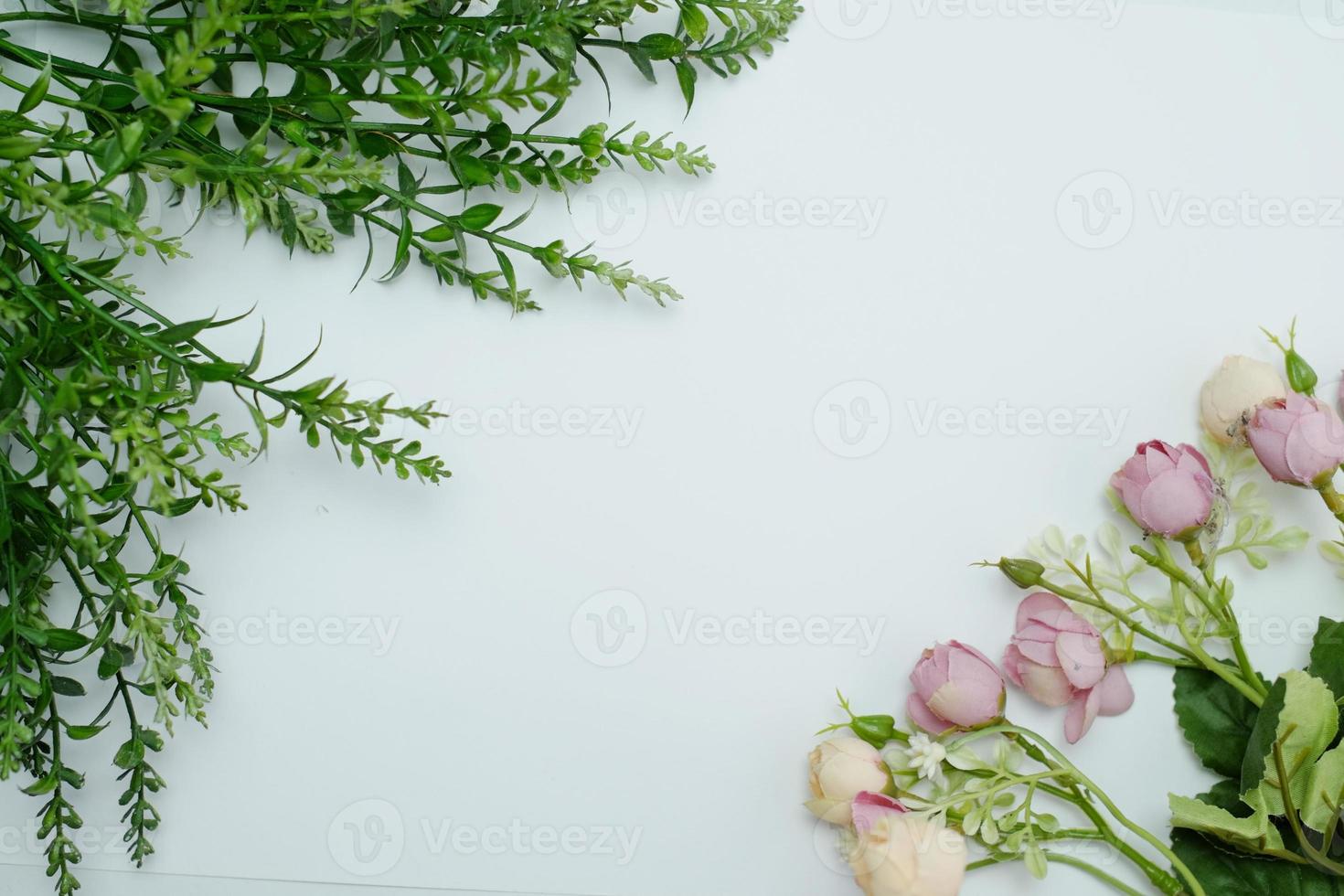 Flower composition. Pattern made of fresh leaves on a white background. Flat lay, top view, copy space photo