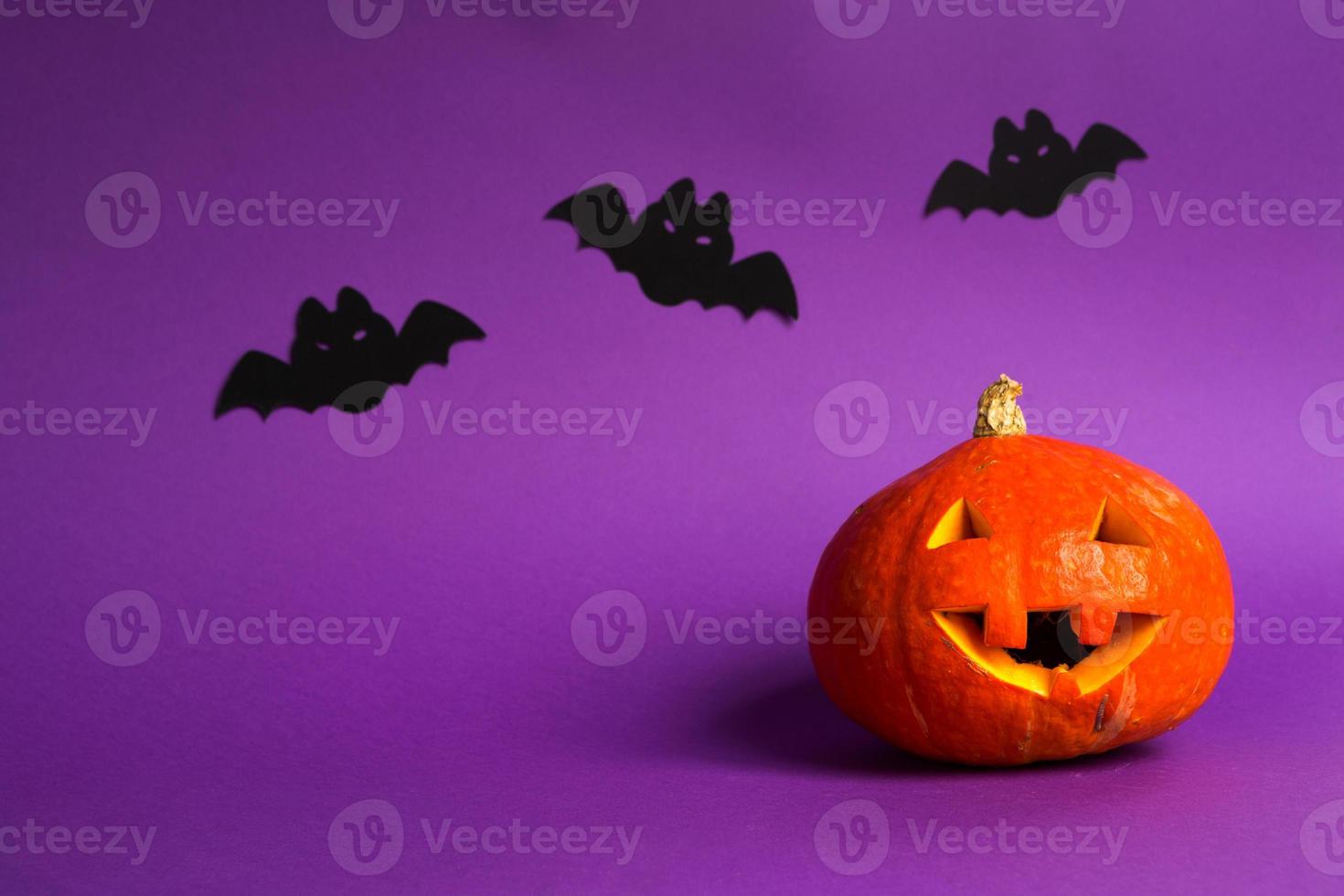 Halloween backgrounds of Jack lantern natural pumpkin, spiders and black bats on a purple background with terrible scenery. Horror and a scary holiday with copy space photo