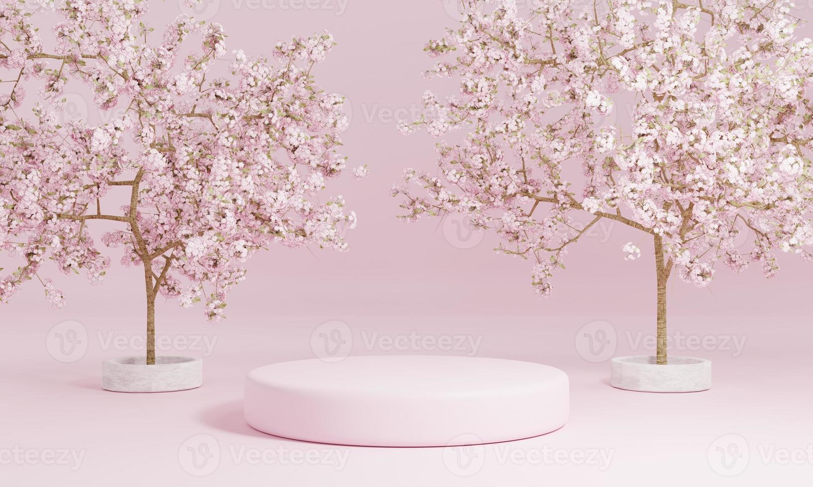 Minimal style cylinder pink product podium showcase with cherry blossom tree or Sakura in Japanese language at public garden. Technology and object concept. 3D illustration rendering photo